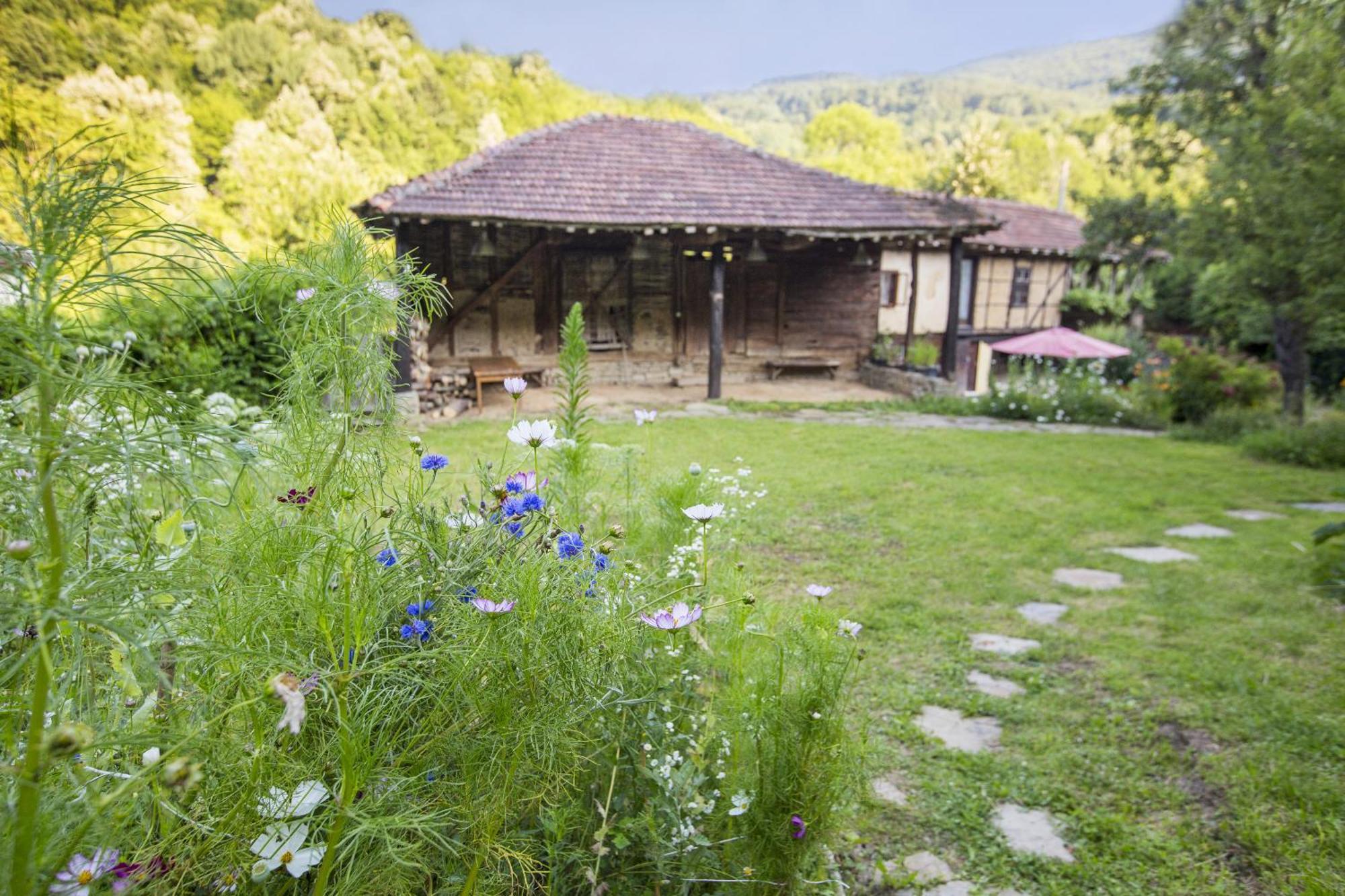 Little River Guest House ガブロヴォ エクステリア 写真