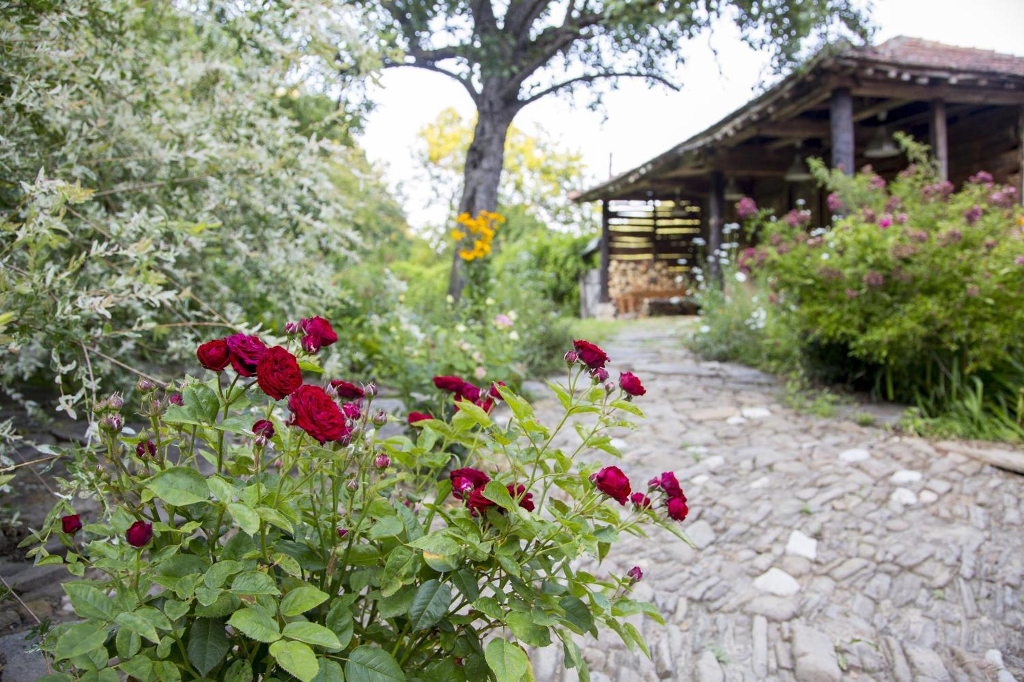 Little River Guest House ガブロヴォ エクステリア 写真